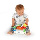 BABY EINSTEIN Sky Explorers Walker™ járássegítő 6 hónapos kortól 12 kg-ig
