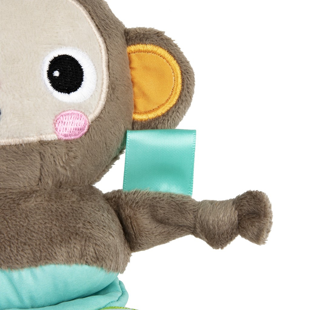 BRIGHT STARTS Játék dallamokkal C-karikán Pull, Play & Boogie™ majom 0hó+