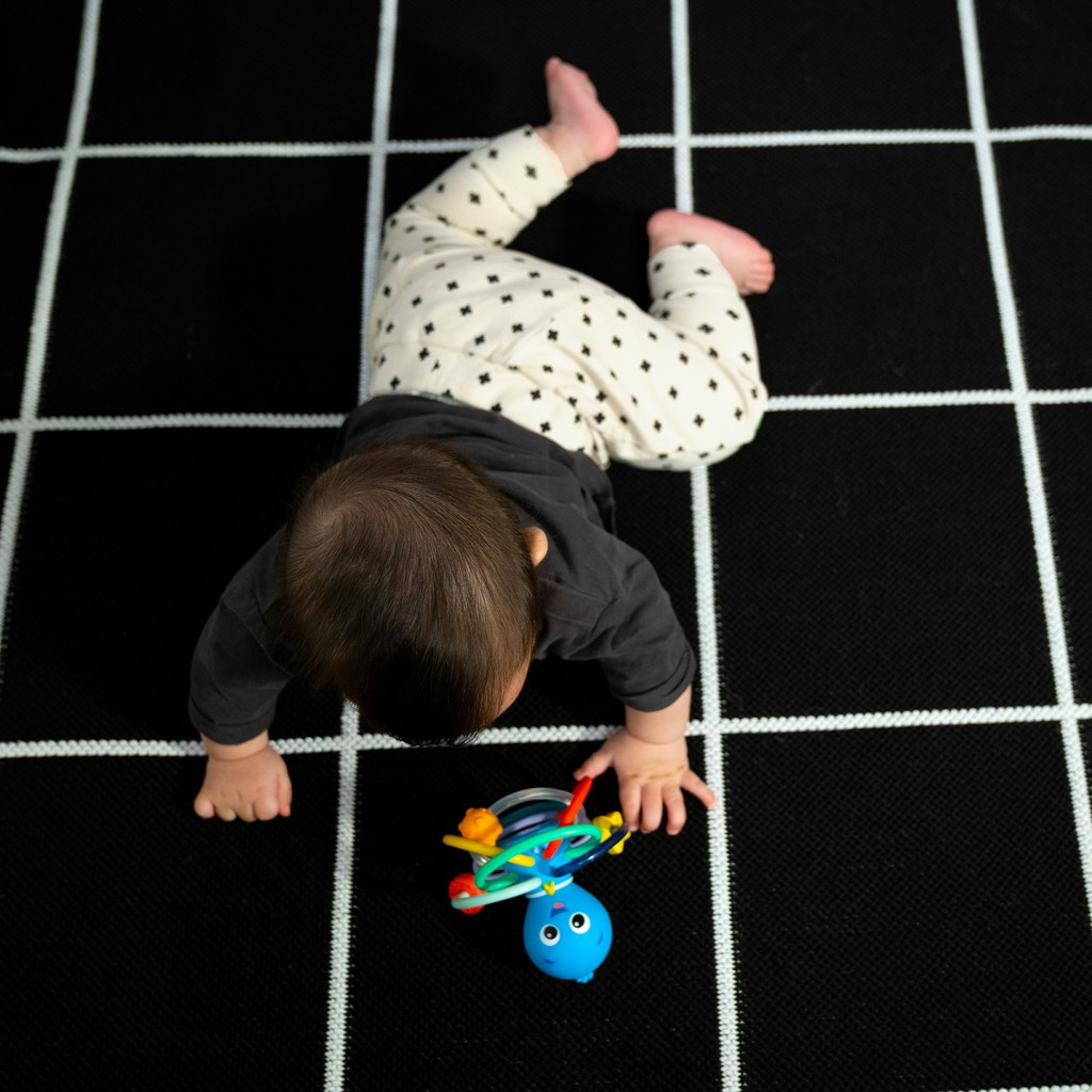 BABY EINSTEIN Rágóka/csörgő Opus’s Shake & Soothe™ 0hó+