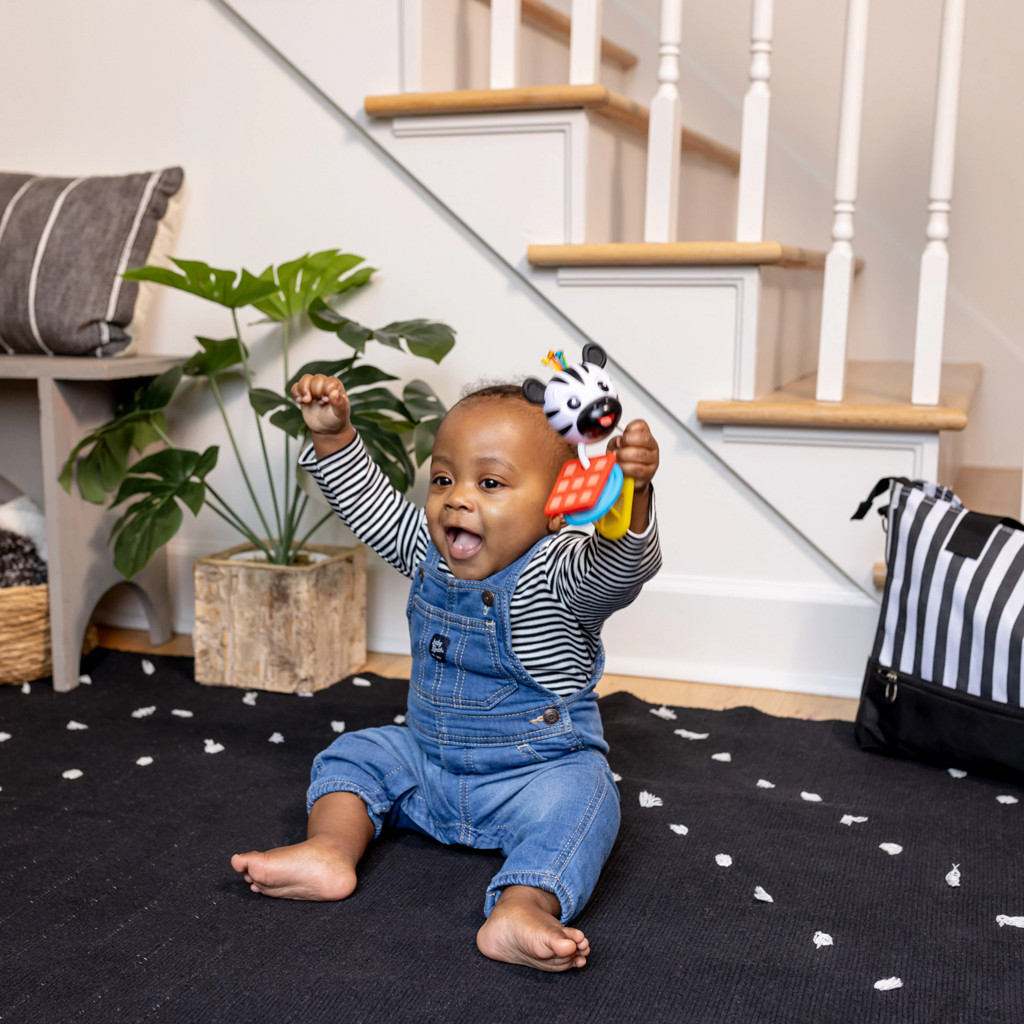 BABY EINSTEIN Rágóka csörgővel zebra Zen™ Shake-a-Shape BPA mentes 0hó+