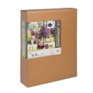 Bellelli Jogging Kit első kerék és tolókar szett biciklis utánfutóhoz