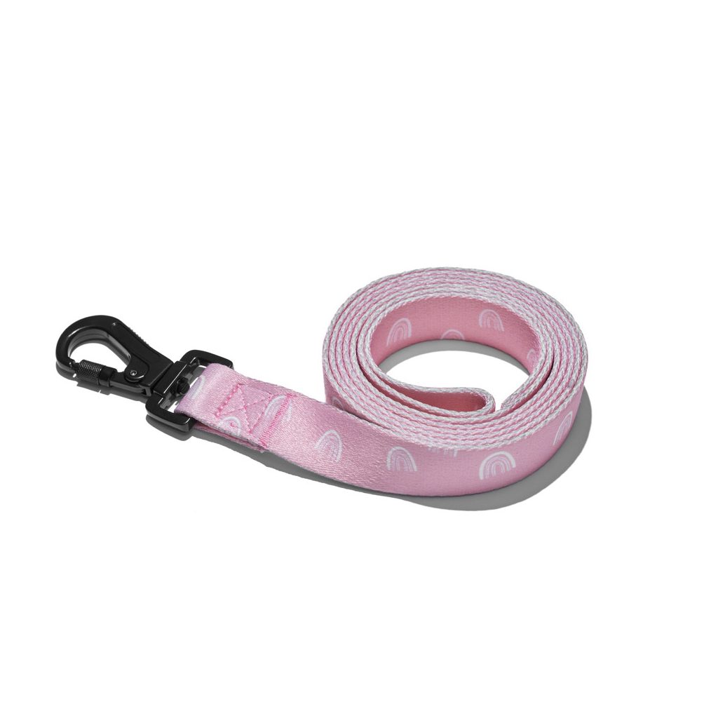 EXPLORER DOG Póráz szivárvány L - 170x2,5 cm