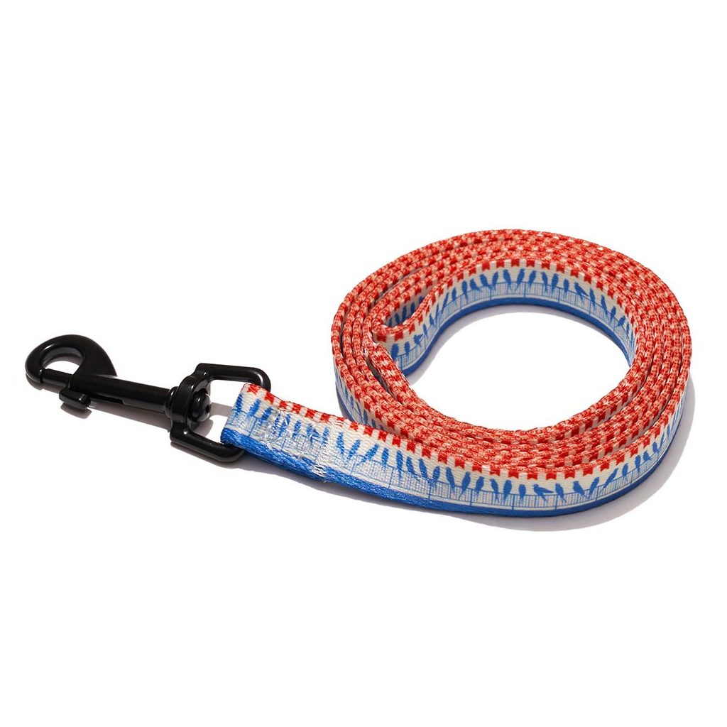 EXPLORER DOG Póráz madarak S - 120x1,5 cm