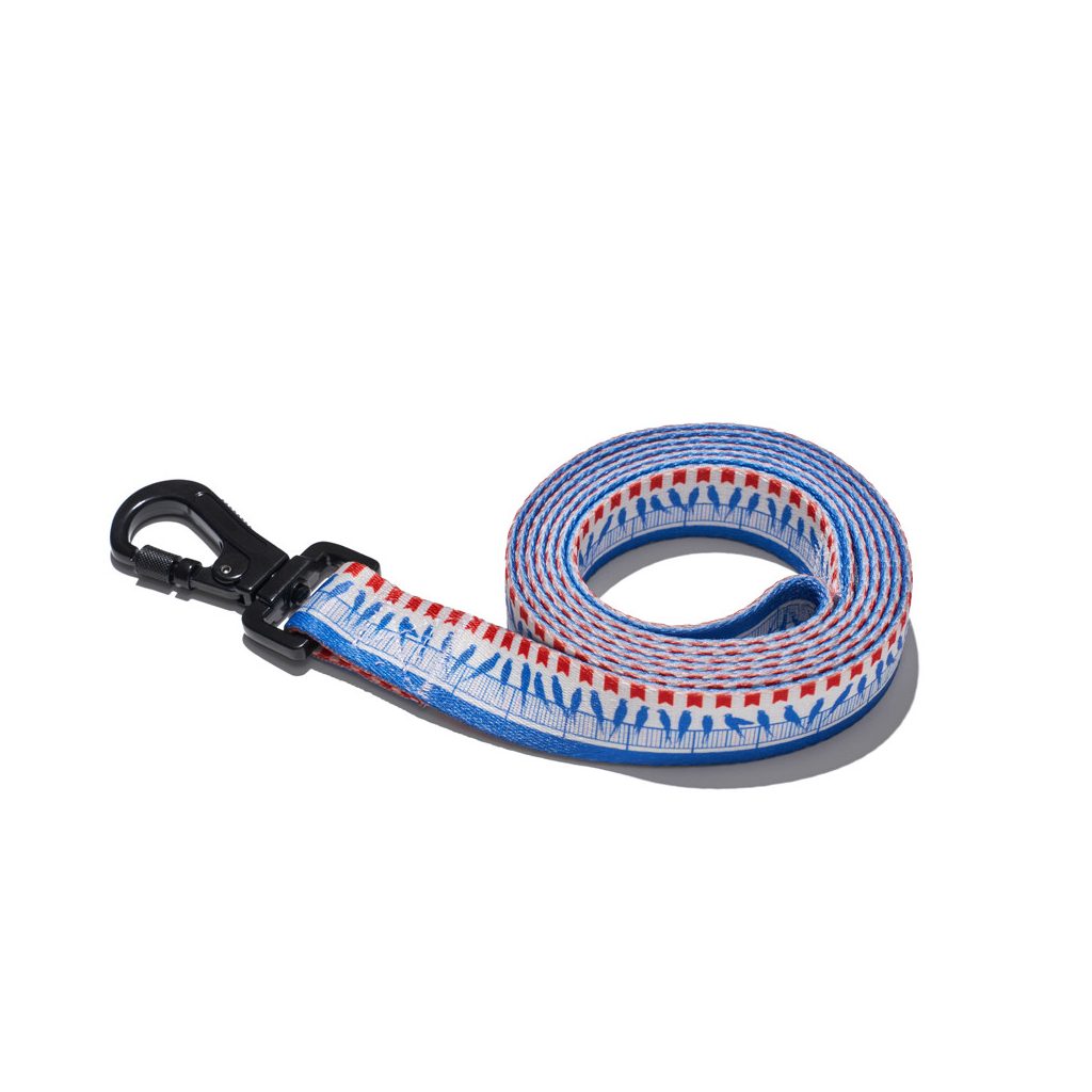 EXPLORER DOG Póráz madarak L - 170x2,5 cm