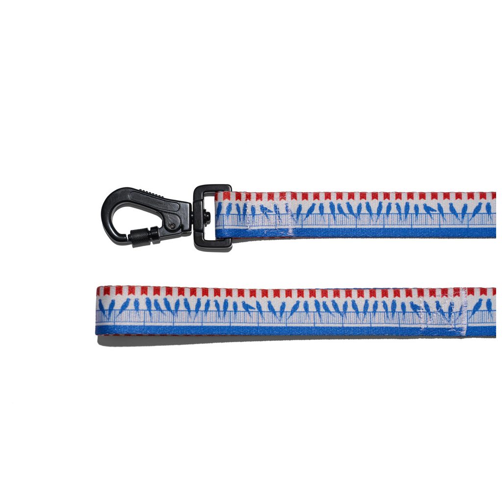 EXPLORER DOG Póráz madarak L - 170x2,5 cm