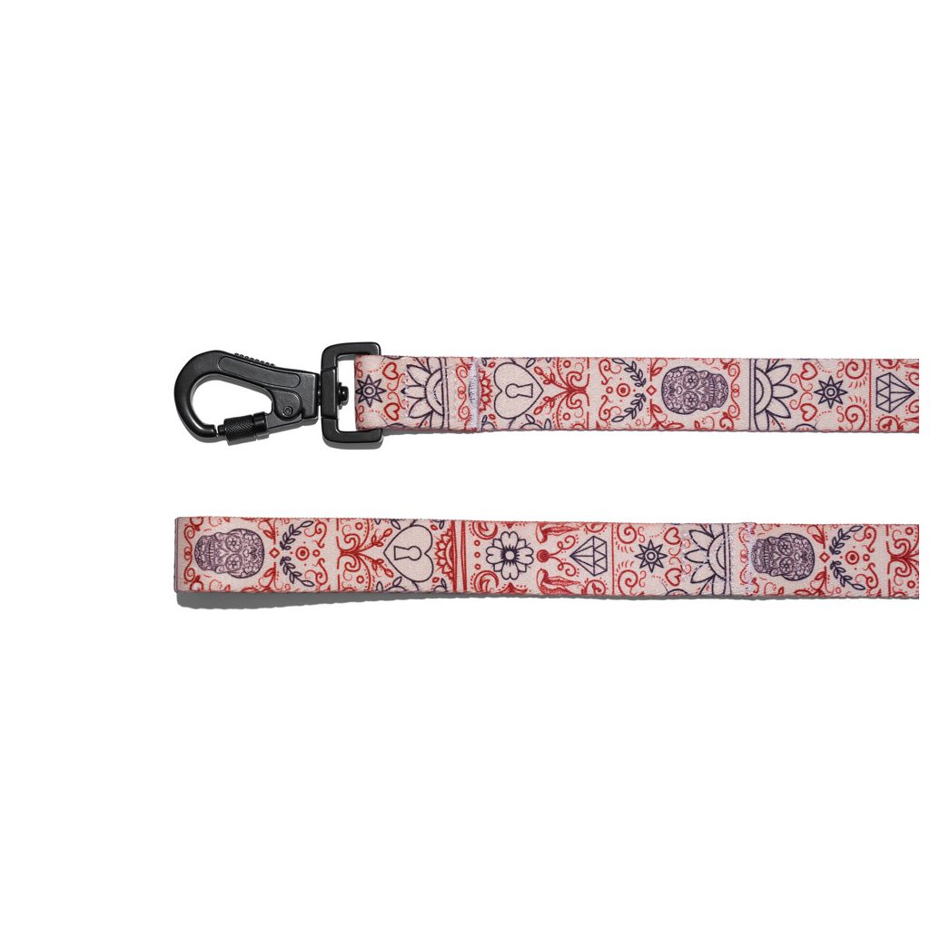 EXPLORER DOG  Póráz szív L - 170x2,5 cm