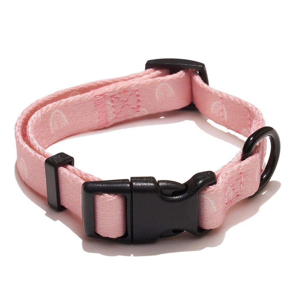 EXPLORER DOG Collar Rainbow S - 24-36x1, 5 cm