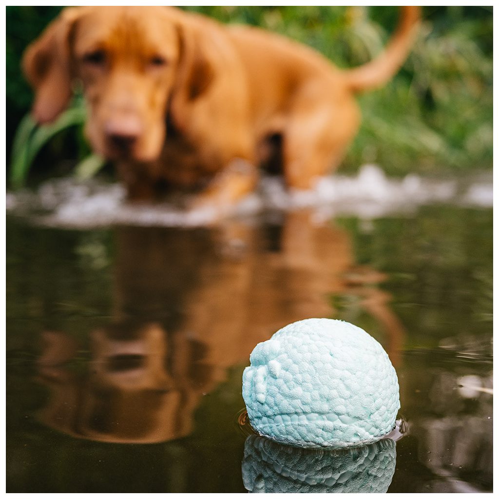 EXPLORER DOG Airball Türkiz 8 cm