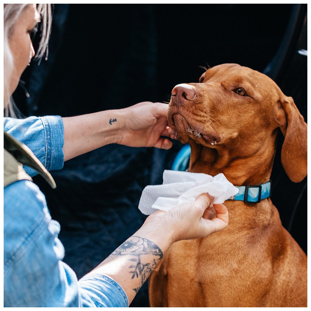 EXPLORER DOG 100% BIO lebomló nedves törlőkendő 40 db