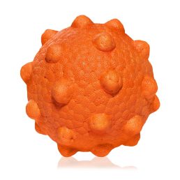 EXPLORER DOG AirBall Tips 8 cm