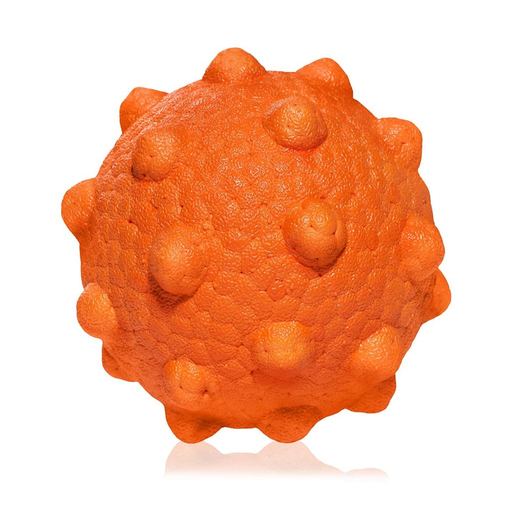 EXPLORER DOG AirBall Tips 8 cm