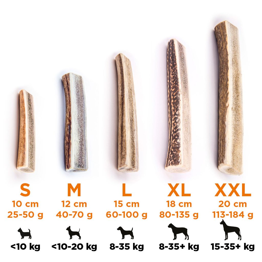 EXPLORER DOG Rágható szarvasagancs XXL  puha