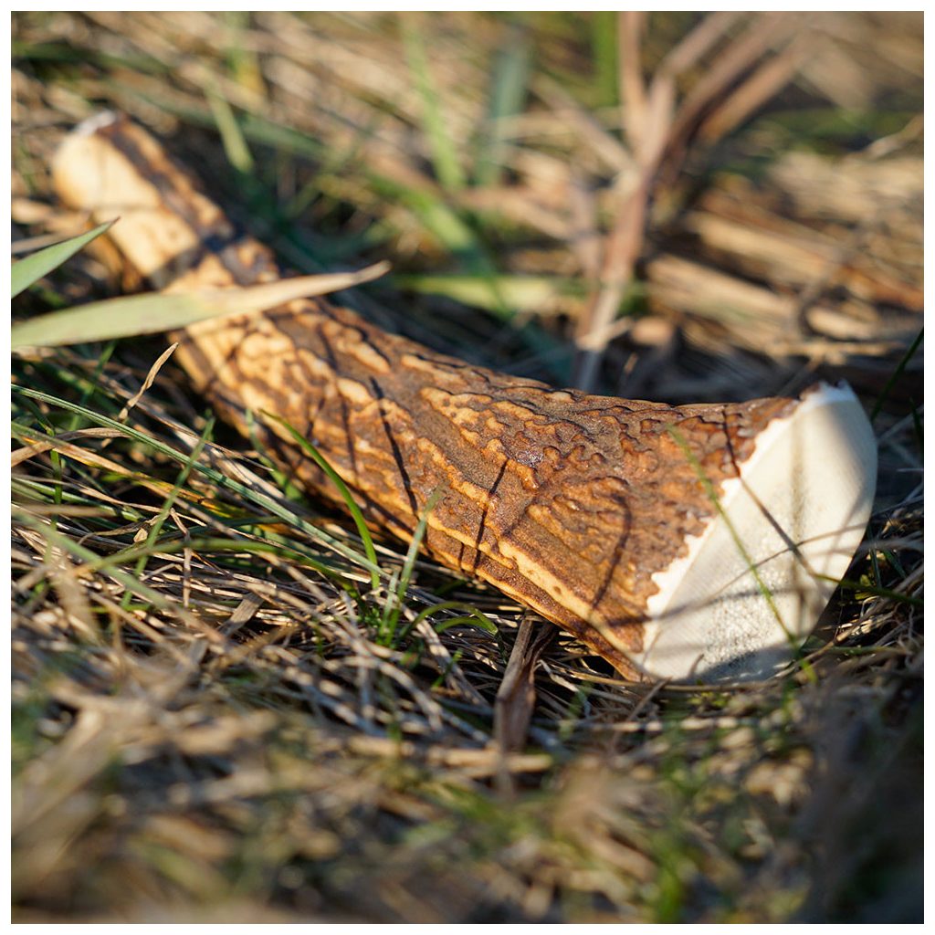 EXPLORER DOG Rágható szarvasagancs XXL  puha