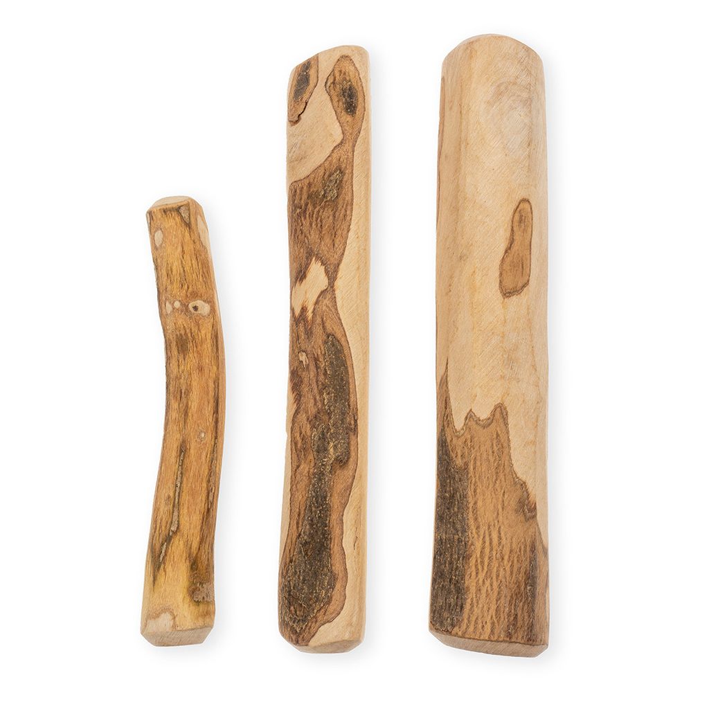 EXPLORER DOG  Olívafa rágóbot  L