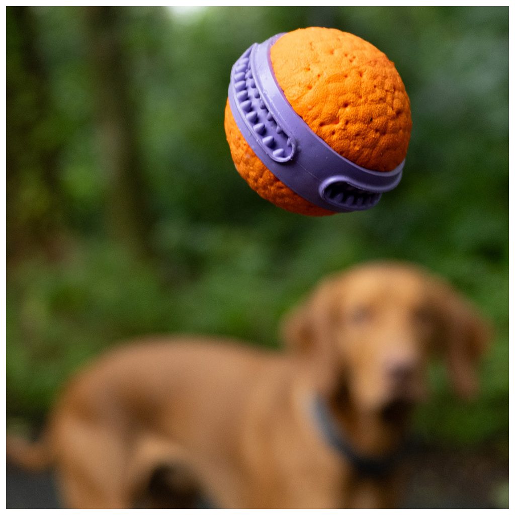 EXPLORER DOG Airball Dent 6 cm