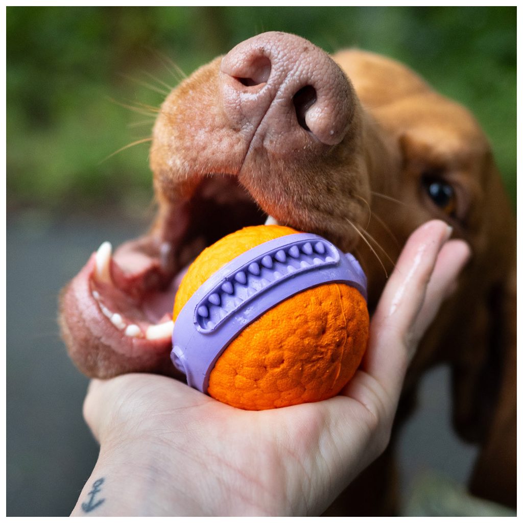 EXPLORER DOG Airball Dent 6 cm