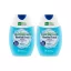 Vademecum 2in1 Menthol fresh fogkrém (2x75 ml)
