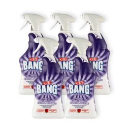   Cillit Bang Fertőtlenítő és Penészölő Spray (5x750 ml)