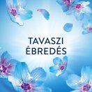 Lenor Spring Awakening illatgyöngy 3x195 g (48 mosás)