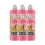 Coccolino Honeysuckle&Sandalwood öblítőkoncentrátum (6x1275 ml)