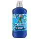 Coccolino Passion Flower&Bergamot öblítőkoncentrátum (6x1275 ml)