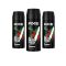AXE deo Africa (3x150 ml)