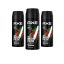 AXE deo Africa (3x150 ml)