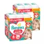 INGYENES SZÁLLÍTÁS - Pampers Active Baby Pants bugyipelenka 6, 13-19 kg, HAVI PELENKACSOMAG 264 db