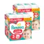 INGYENES SZÁLLÍTÁS - Pampers Active Baby Pants bugyipelenka 3, 6-11 kg, HAVI PELENKACSOMAG 428 db