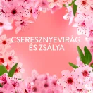Lenor Cherry Blossom öblítő 8x1,239 liter (472 mosás)