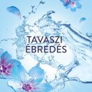 Lenor Spring Awakening öblítő 3x1,491 liter (213 mosás)