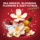 Old Spice Deep Sea dezodor spray férfiaknak (3x200 ml)