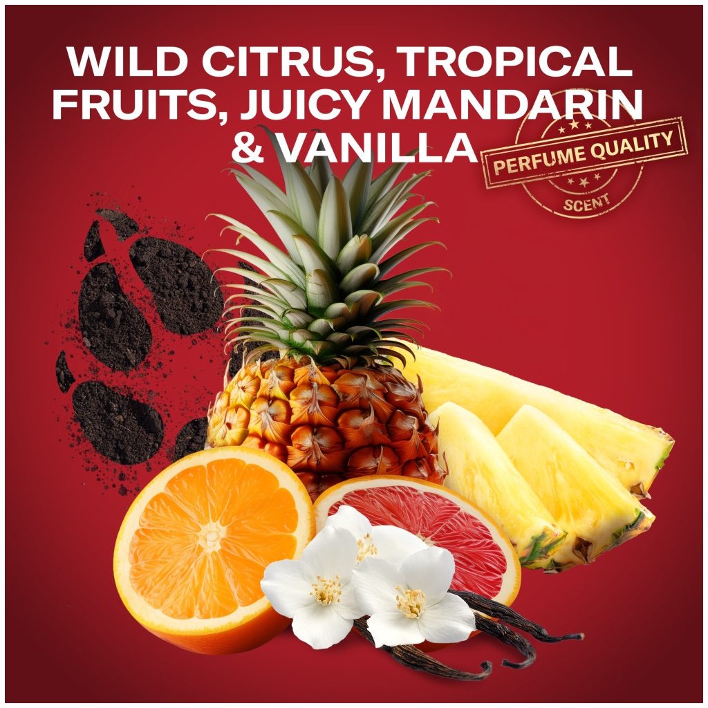 Old Spice Wolfthorn dezodor spray férfiaknak (3x200 ml)