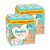 INGYENES SZÁLLÍTÁS - Pampers Premium Care pelenka 1, 2-5 kg, HAVI PELENKACSOMAG 1+1 312 db