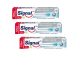 Signal Family Care Daily White fogkrém (3x125 ml)