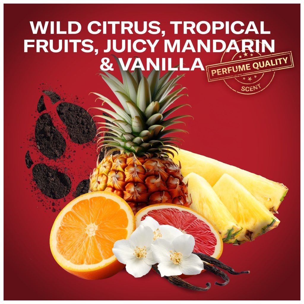 Old Spice Wolfthorn 3 az 1-ben Tusfürdő és Sampon (4x1000 ml)