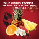 Old Spice Wolfthorn 3 az 1-ben Tusfürdő és Sampon (4x1000 ml)