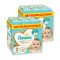 INGYENES SZÁLLÍTÁS - Pampers Premium Care pelenka 2, 4-8 kg, HAVI PELENKACSOMAG 1+1 448 db 