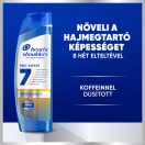 Head & Shoulders Pro-Expert 7 korpásodás és hajhullás elleni sampon koffeinnel (2x250 ml)