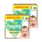 INGYENES SZÁLLÍTÁS - Pampers Harmonie pelenka 1, 2-5 kg, HAVI PELENKACSOMAG 360 db + ajándék New Baby törlőkendő