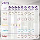 Libero Touch pelenka, Újszülött 1, 2-5 kg, HAVI PELENKACSOMAG 264 db