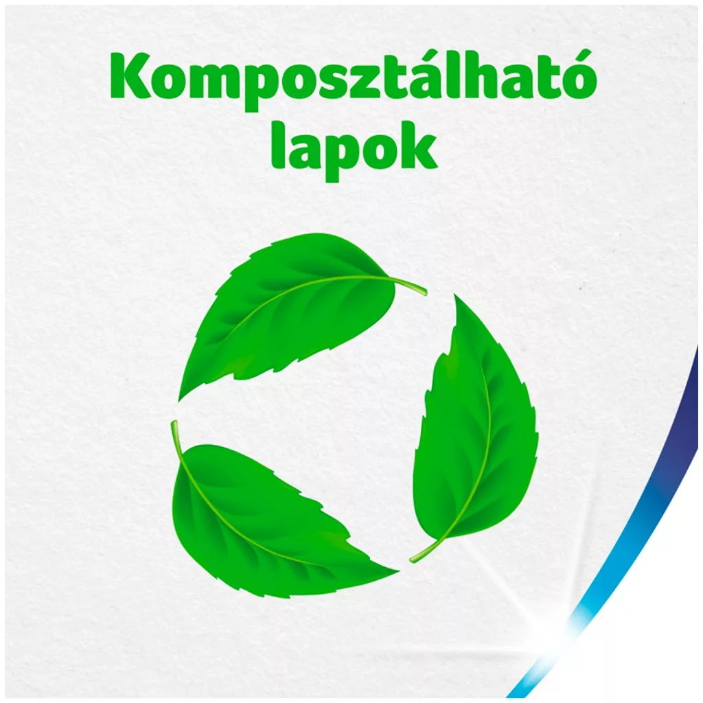 Zewa Wisch & Weg Original háztartási papírtörlő 2 rétegű (2x4 tekercs) + AJÁNDÉK fakanál