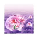 Lenor Amethyst Flower Bloom Color Folyékony Mosószer 2x3,6 liter (160 mosás)