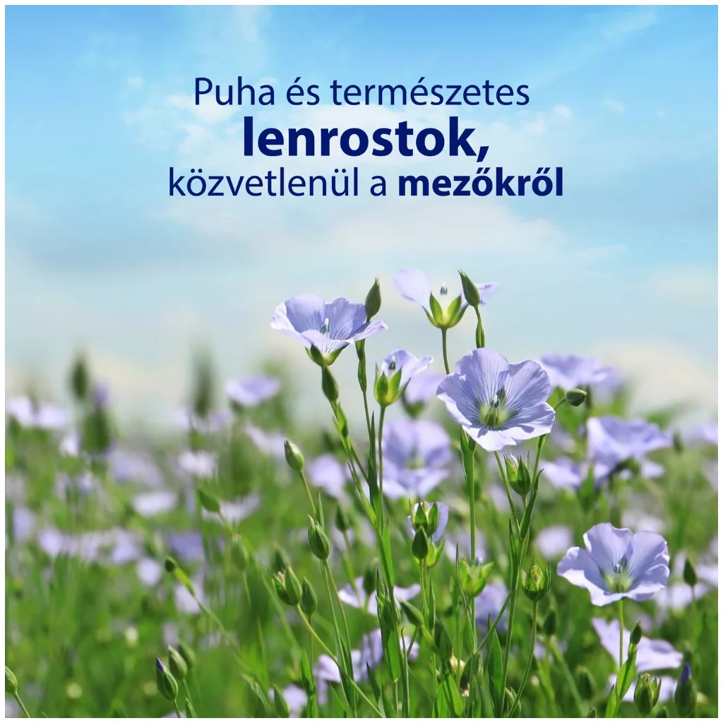 Zewa Almond Milk nedves toalettpapír (3x80 db)