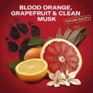 Old Spice Tiger Claw stift dezodor férfiaknak (2x65 ml)