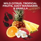 Old Spice Wolfthorn stift dezodor férfiaknak (3x65 ml)