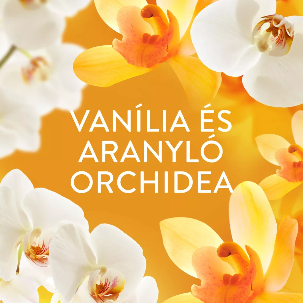 Lenor Gold Orchid illatgyöngy 3x735 g (180 mosás)