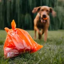 EXPLORER DOG Kutyaürülék zacskó újrahasznosított anyagokból (2x15 db)