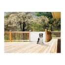 DREAMBABY Biztonsági visszahúzható rács 0-140 cm fehér