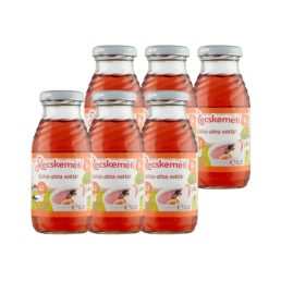 Kecskeméti szilva-alma gyümölcsital, 4 hó+ (6x200 ml)